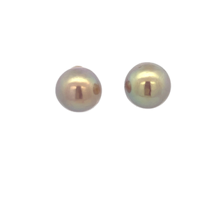 Tahitian Pearl Stud Earrings - My Store