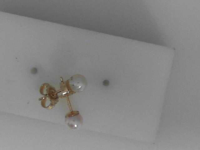 Vardy's Collection Fresh Water White Pearl Stud Earrings in 14K Yellow Gold