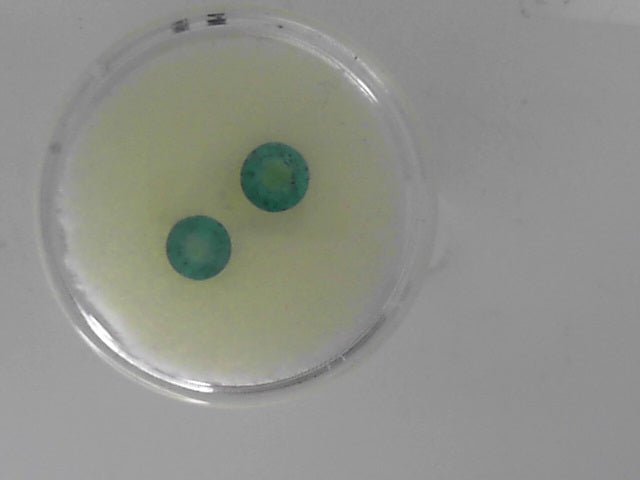 Vardy's Collection Round Emerald Stud Earrings in 14K Yellow Gold (1.14ctw)