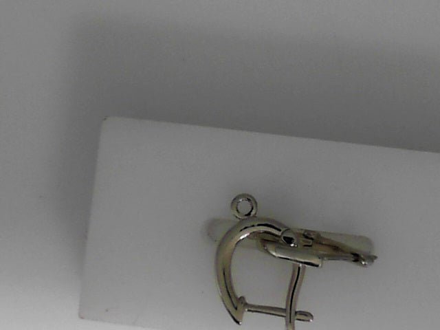 Vardy's Collection Small Hoop Earrings in 14K White Gold (4.7g)