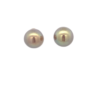 Vardy's Collection Tahitian Pearl Stud Earrings in 14K Yellow Gold