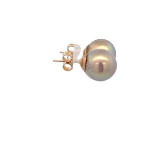 Vardy's Collection Tahitian Pearl Stud Earrings in 14K Yellow Gold