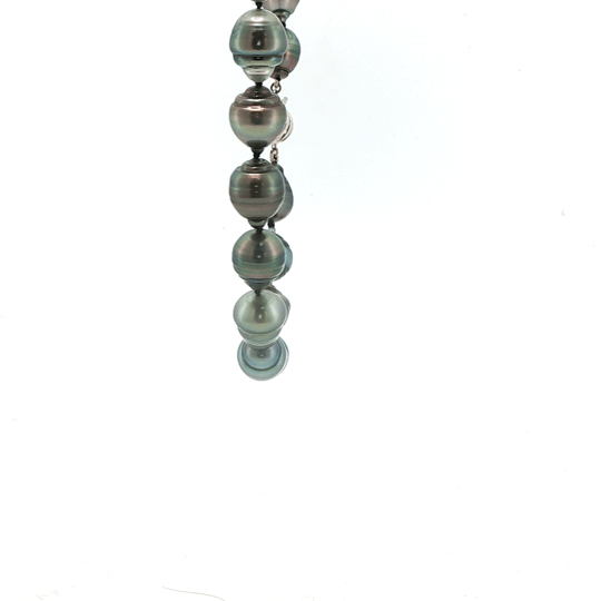Vardy's Collection Tahitian Peacock Pearl Single Strand Bracelet in 14K White Gold