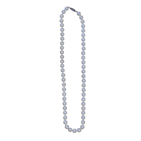14 Karat White Gold Single Strand Cultured White Excellent Pearls