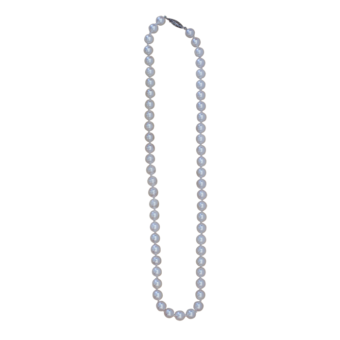 14 Karat White Gold Single Strand Cultured White Excellent Pearls